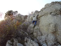 PA210070.webp