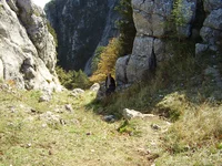 PA210065.webp