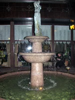 img_3329.webp