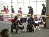 DSC04091.webp