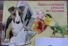 mitar31.webp