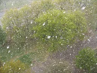 2may.jpg