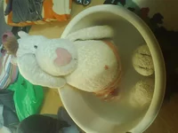 DSC00058.webp