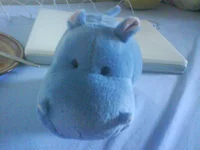 DSC00012.webp