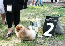 4 месяца курск.webp