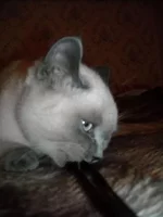 x_74f0fccf.webp