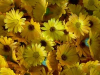 P1060122_photoclub.webp