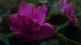 -Татьяна1.webp