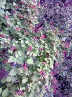 0160.webp