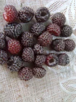 0165.webp