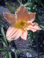 0178.webp