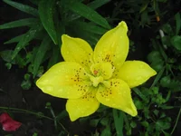 IMG_1937.webp