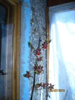 IMG_1275.webp