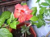 DSC01360_.webp