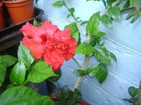 DSC01361.webp