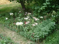 DSC01358_.webp