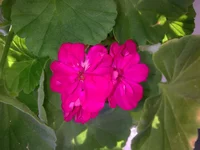 .webp