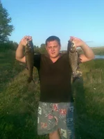 137.webp