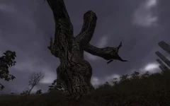 XR_3DA 2010-07-07 21-47-29-39.webp