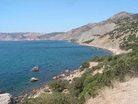  2009 401.webp