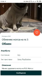 Screenshot_2020-12-13-21-56-49-573_ua.slando.webp