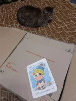 gift2.webp