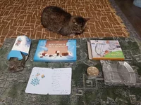 gift4.webp