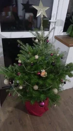 IMG-8c20f7d974c2d05322bd6722c4f7876f-V.webp