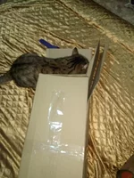 IMG_20201223_155445.webp
