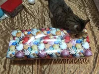 IMG_20201223_155858.webp