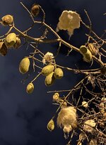 45AC48FE-C514-4950-802A-C222A6923AB7.jpg