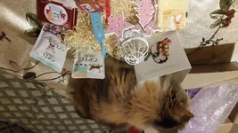 20201223_210357.jpg