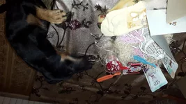 20201223_210533.webp