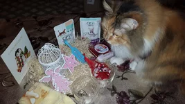 20201223_210745.jpg