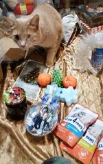 зображення_viber_2020-12-24_17-28-26.jpg