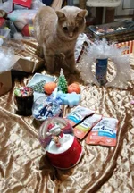 зображення_viber_2020-12-24_17-27-46.jpg