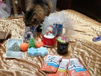 зображення_viber_2020-12-24_17-24-09.jpg
