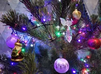 IMG_20201224_210246.webp