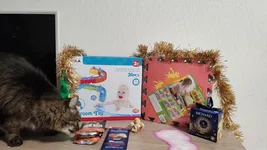 IMG_20201225_152122.webp