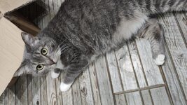 IMG_20201225_154345.jpg
