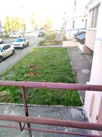 12.webp