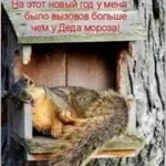 20210105_221218.webp