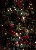 D4630D20-E7DF-4EEC-8C87-38549FFB7BA4.webp