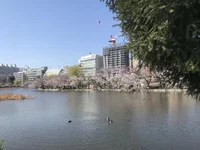 IMG_4806.webp