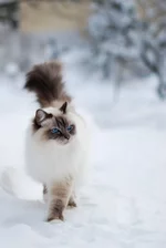 EB76AD74-20A5-4B5F-A427-771AA2808483.webp