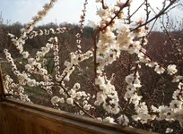 080410 002.webp