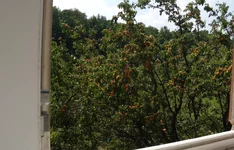 100707 Іскрівка 008.jpg
