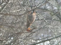 180225  Харьков 002.webp