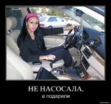 6gtw6yqitp5p.webp