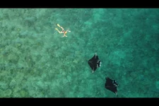 Screenshot (55).webp
